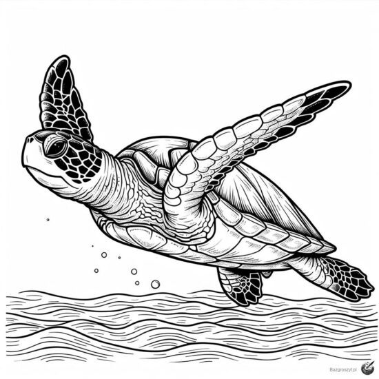 turtle-coloring-bazgroszyt-pl-6-550x550.jpg